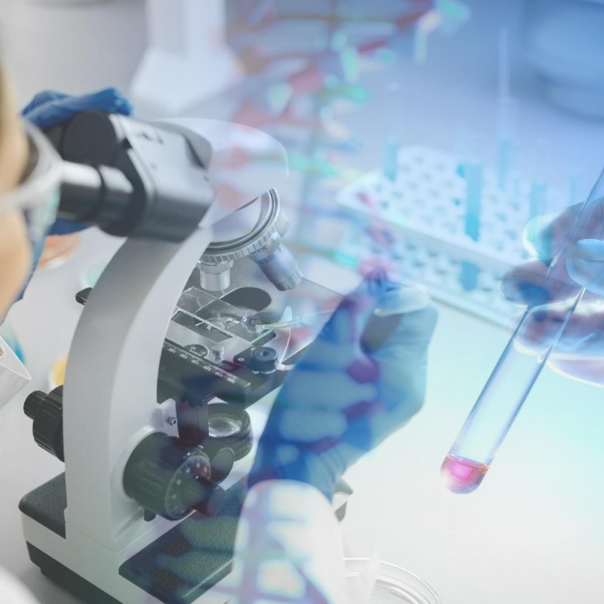 DNA-test