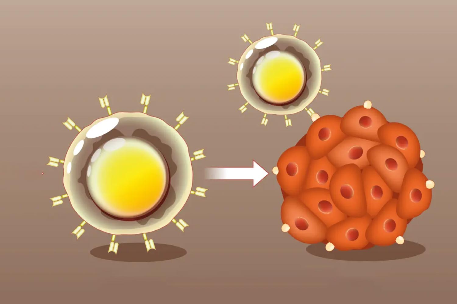 car-t-cell-front-3